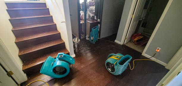 Best Flood damage cleanup  in Alamo, TN
