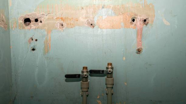Best Emergency water damage restoration  in Alamo, TN