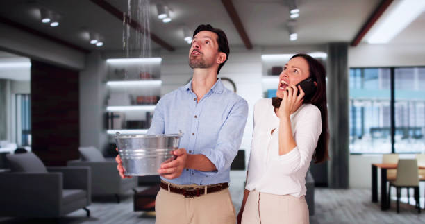 Best 24/7 water damage repair  in Alamo, TN
