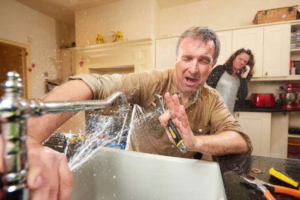 Best Flood restoration services  in Alamo, TN